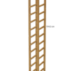 CIS12 - Image 2