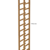 CISG12 - Image 2