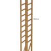 CISI10 - Image 2