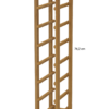 CISM7 - Image 2