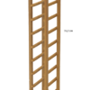 CIS8 - Image 2