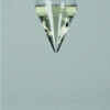 Champagne – Image 3